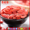 Venta caliente de china Orgánica secado Bayas de Goji